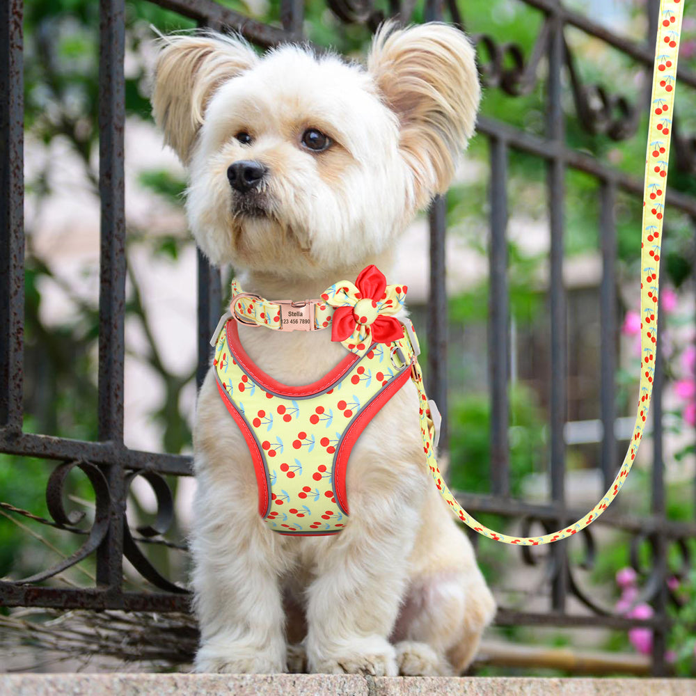 Fruit Harness Collar & Leash Set Customizable