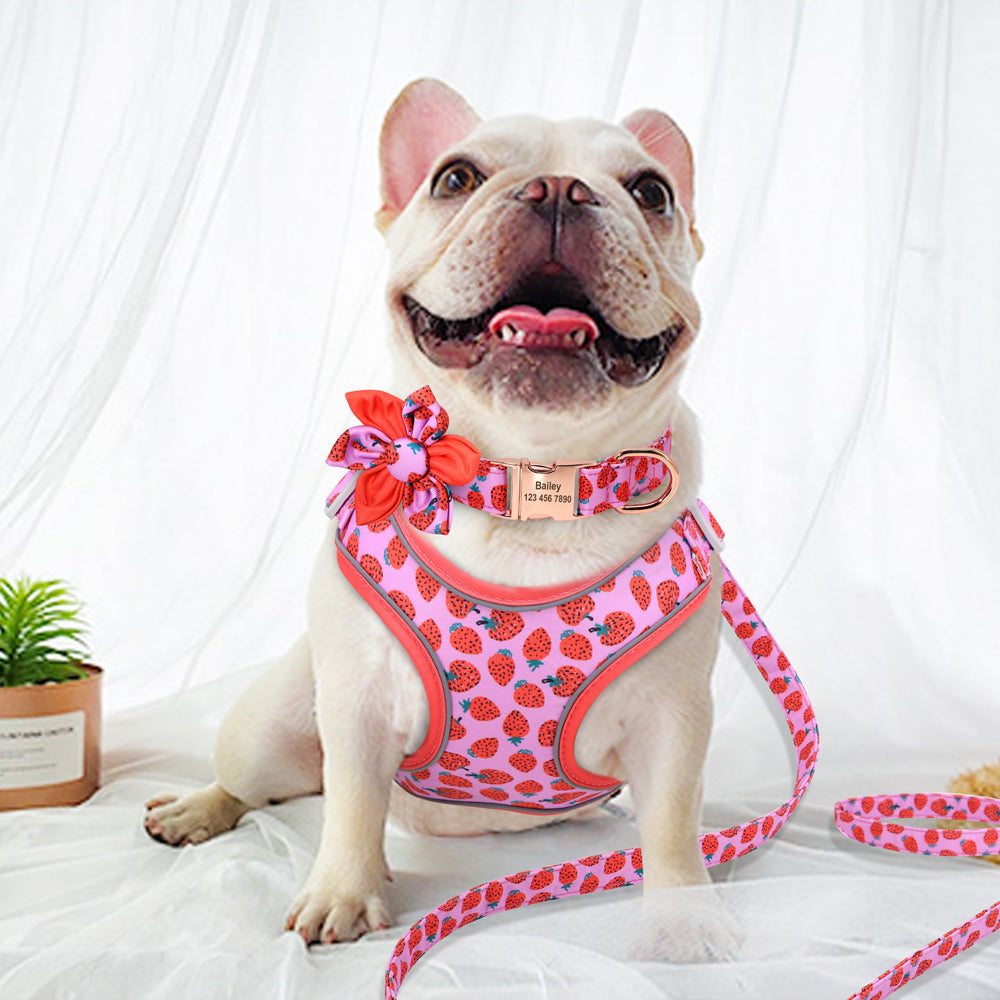 Fruit Harness Collar & Leash Set Customizable