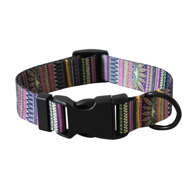 Customizable Bailey Collars