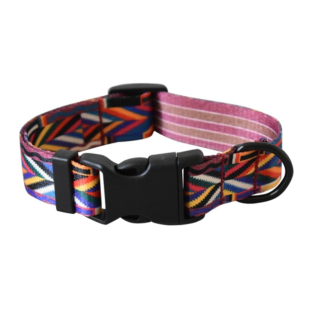 Customizable Bailey Collars