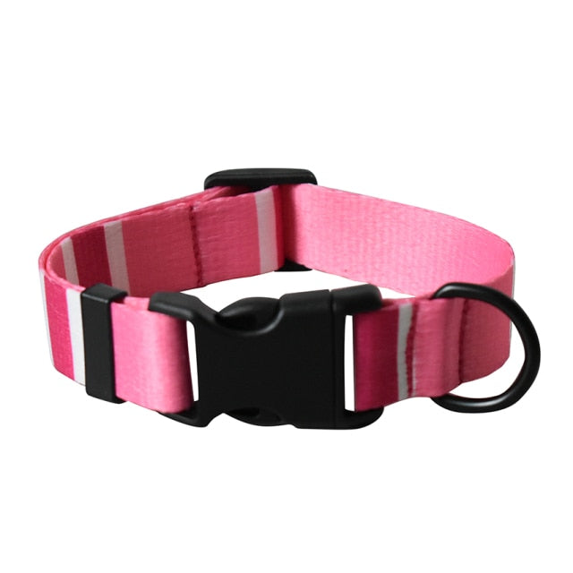 Customizable Bailey Collars