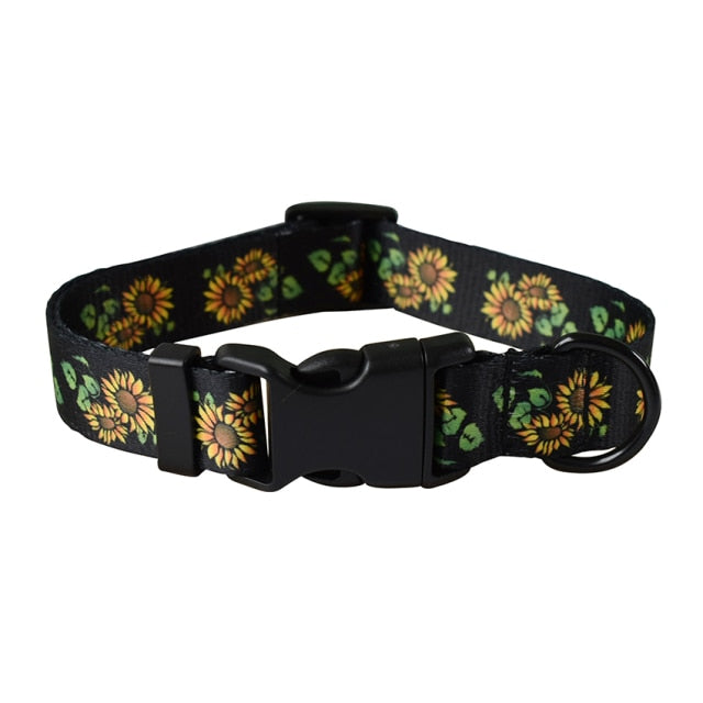 Customizable Bailey Collars