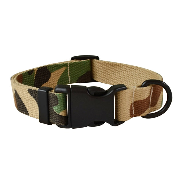 Customizable Bailey Collars