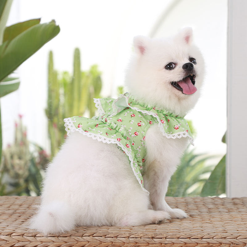 Small Dog Dress Harness Leash Set