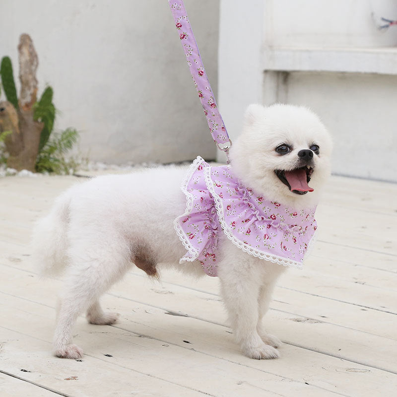 Small Dog Dress Harness Leash Set