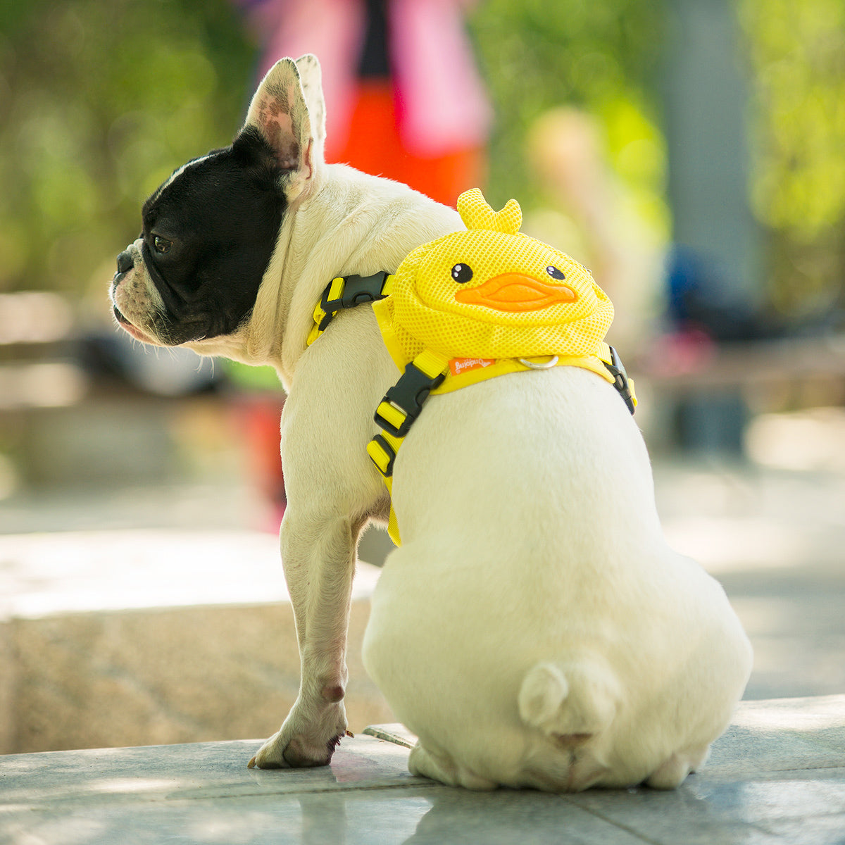 Cute Animal Backpacks