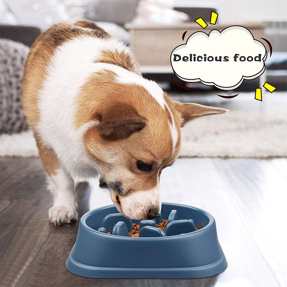 Slow Feeder Dog Bowl