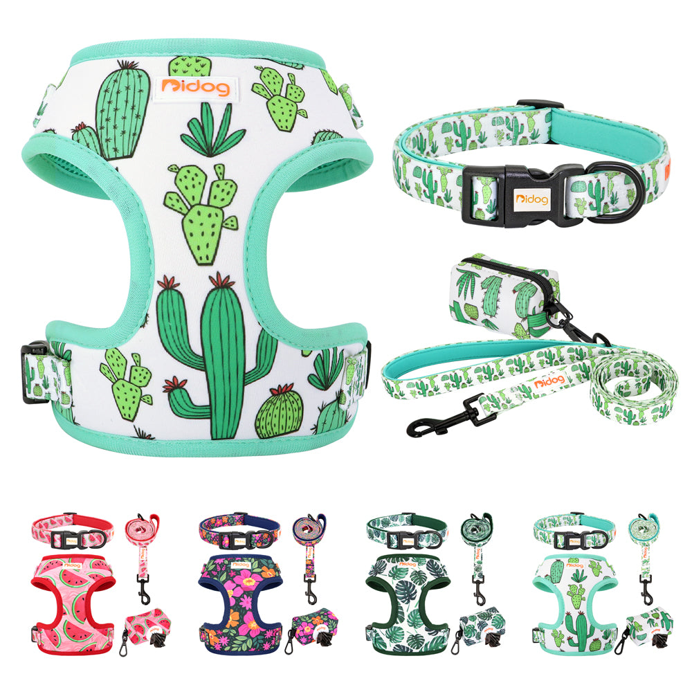 Assorted Summer Harness set for small dogs