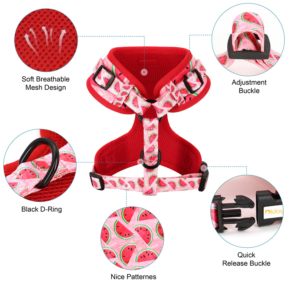 Assorted Summer Harness set for small dogs