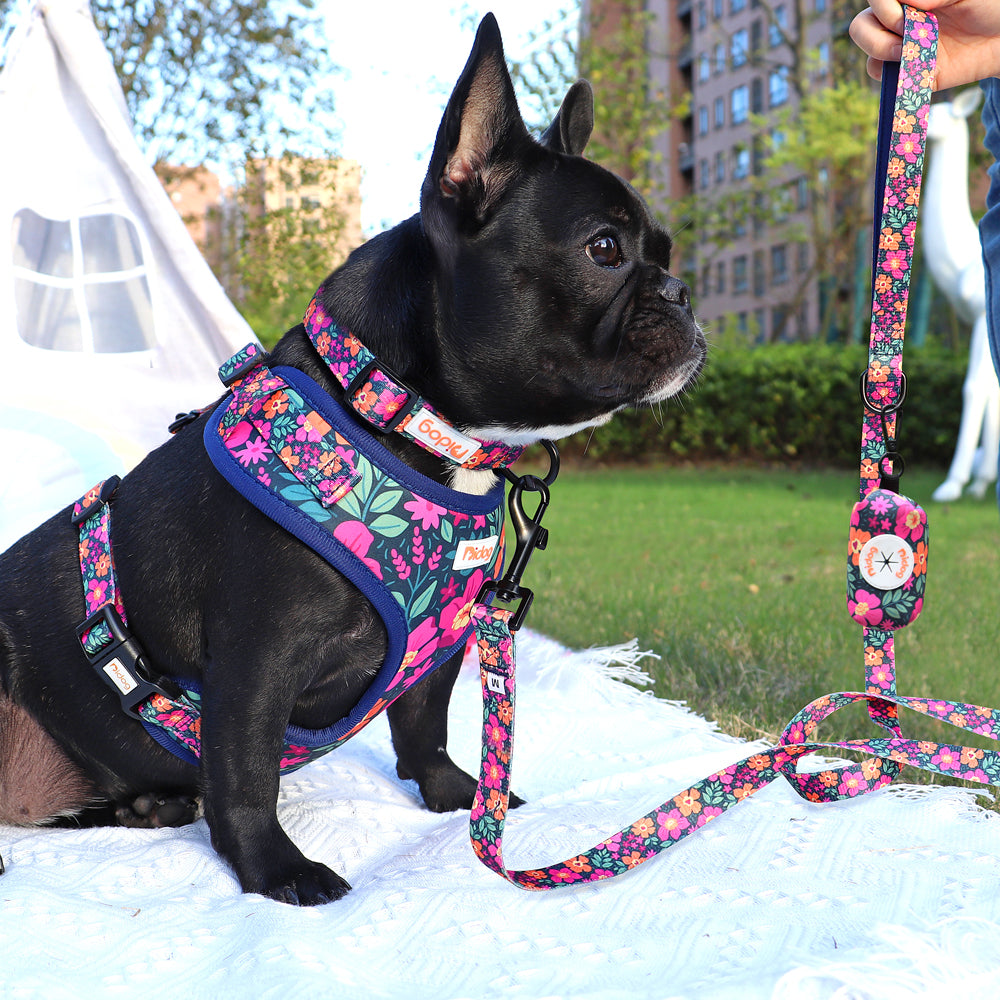 Assorted Summer Harness set for small dogs