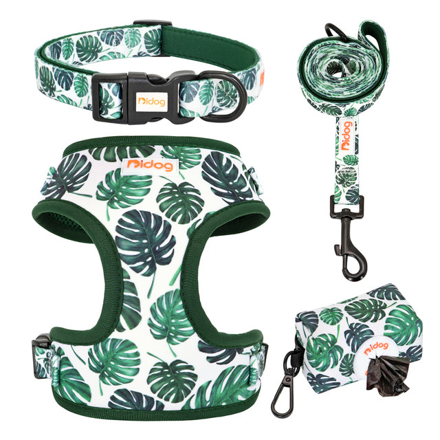 Assorted Summer Harness set for small dogs