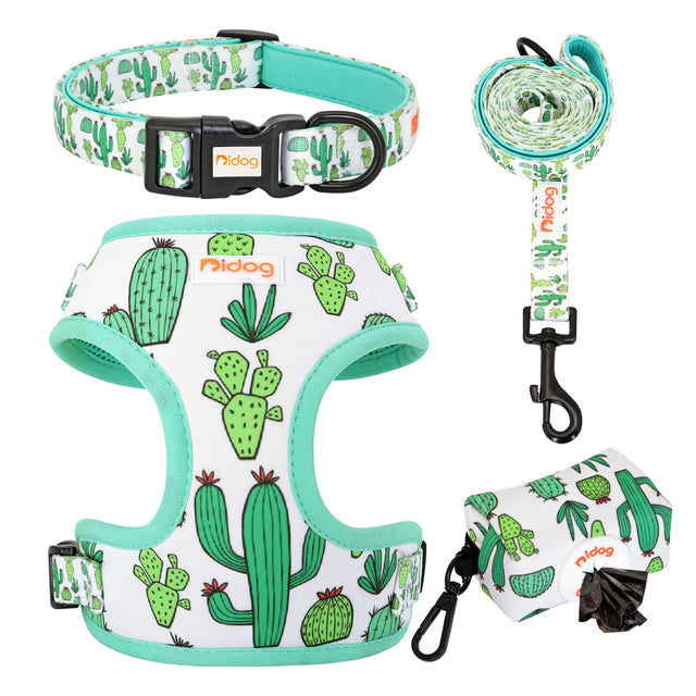 Assorted Summer Harness set for small dogs