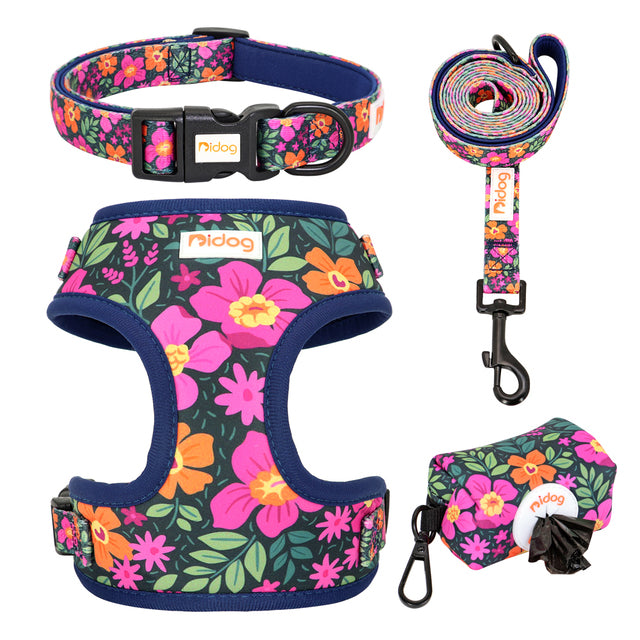 Assorted Summer Harness set for small dogs