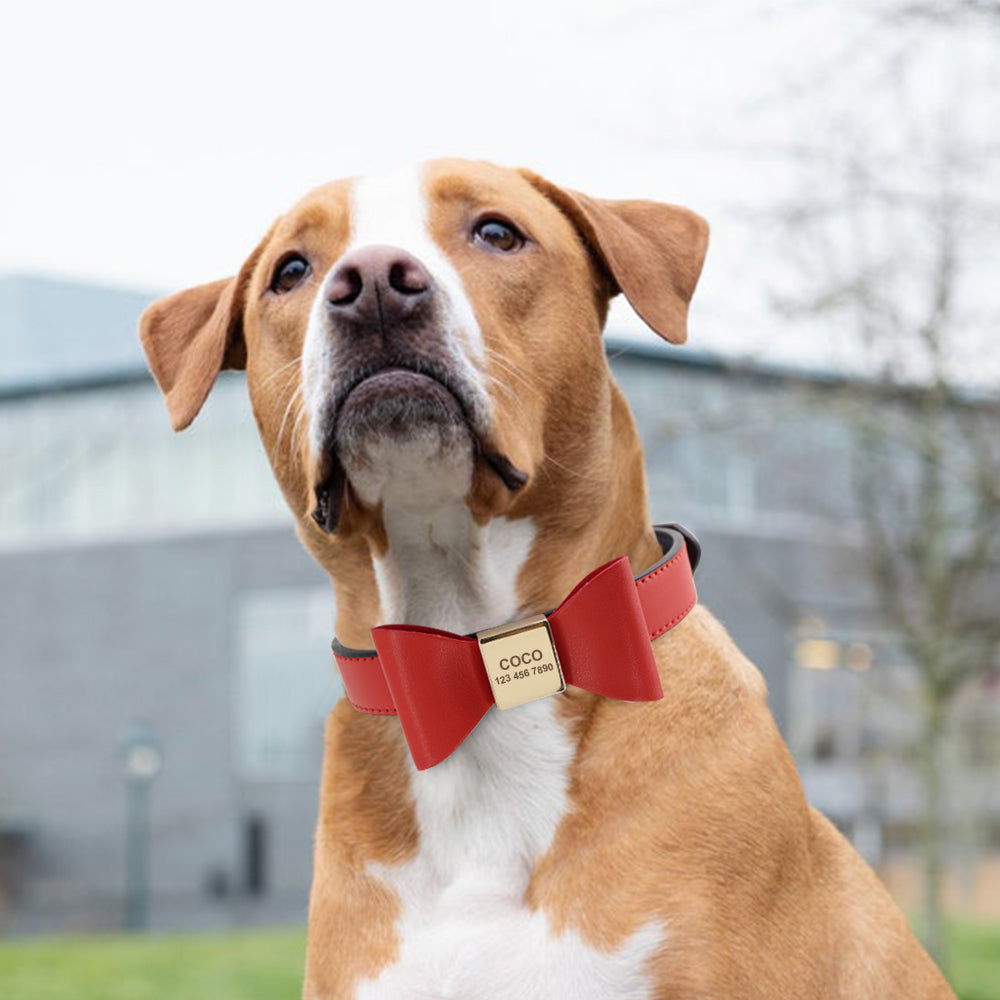 Bow Buckle Collar (Customizable)