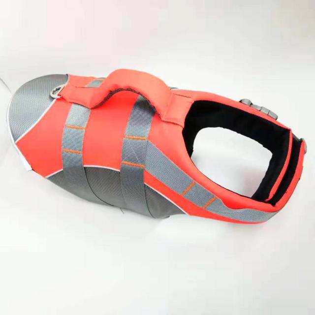 Life Jacket