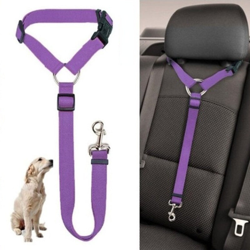 Car Seat Belt Leash