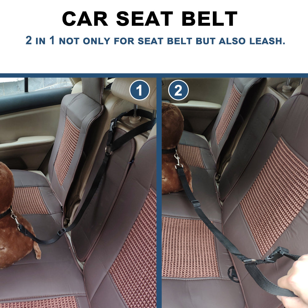 Car Seat Belt Leash