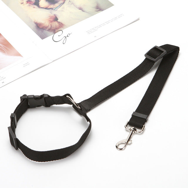 Car Seat Belt Leash