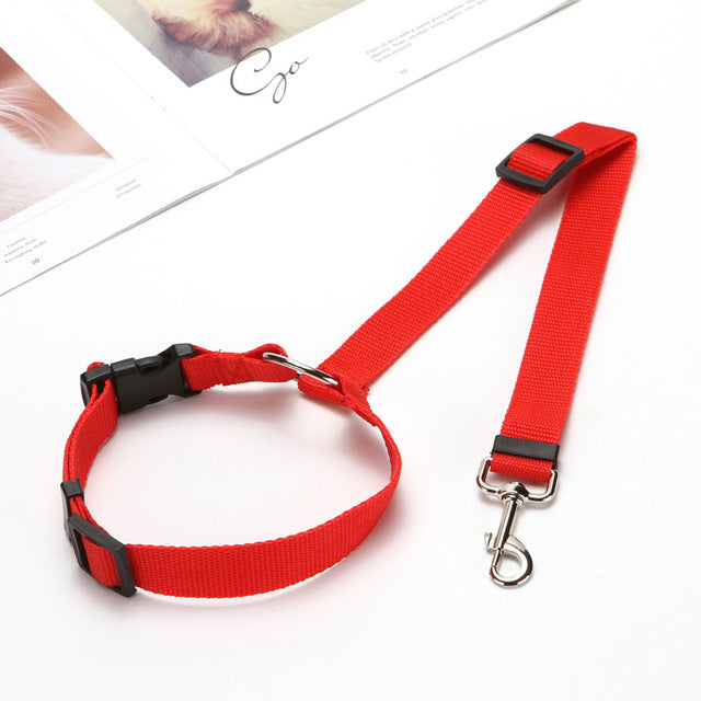 Car Seat Belt Leash