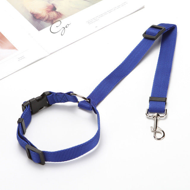 Car Seat Belt Leash