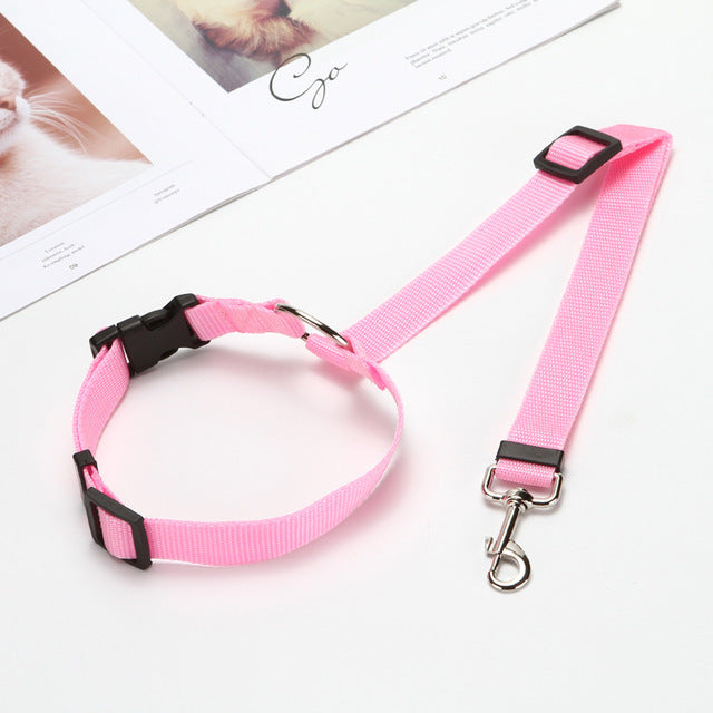 Car Seat Belt Leash