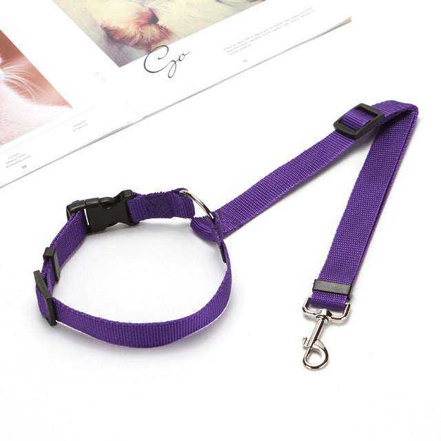 Car Seat Belt Leash