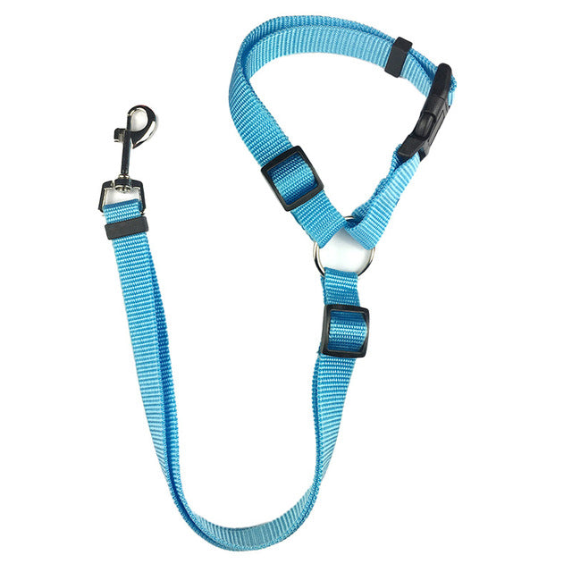 Car Seat Belt Leash