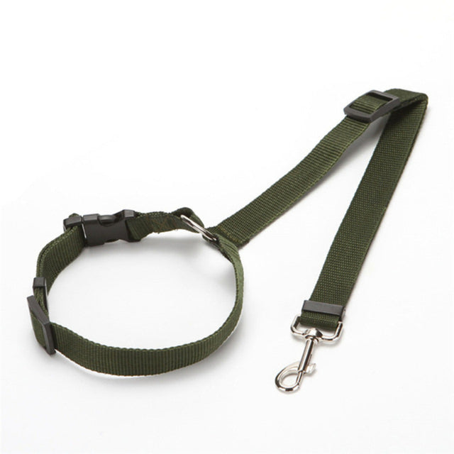 Car Seat Belt Leash