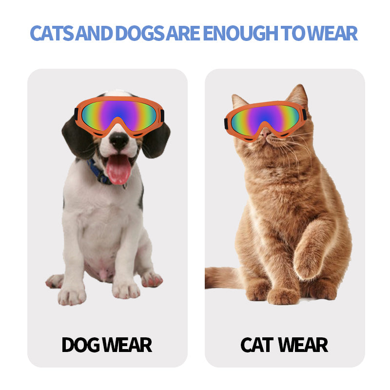 Pet Goggles