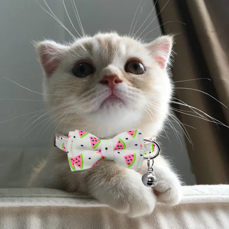 Cute Bow Tie Cat Collar