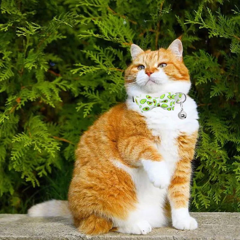 Cute Bow Tie Cat Collar