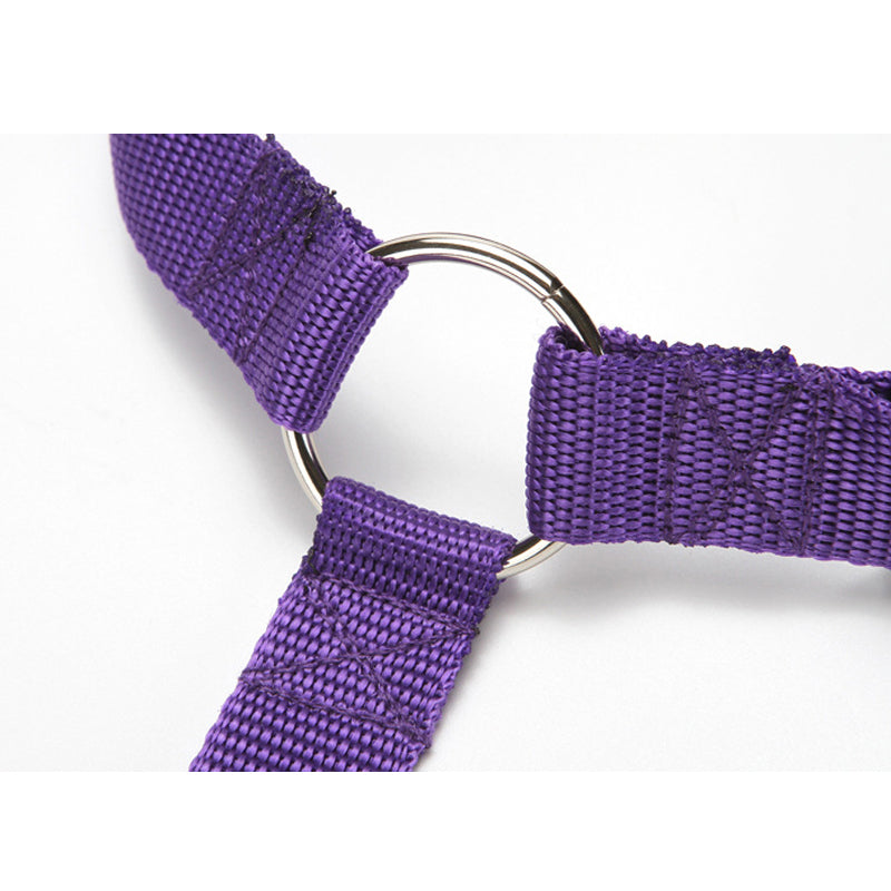 Car Seat Belt Leash