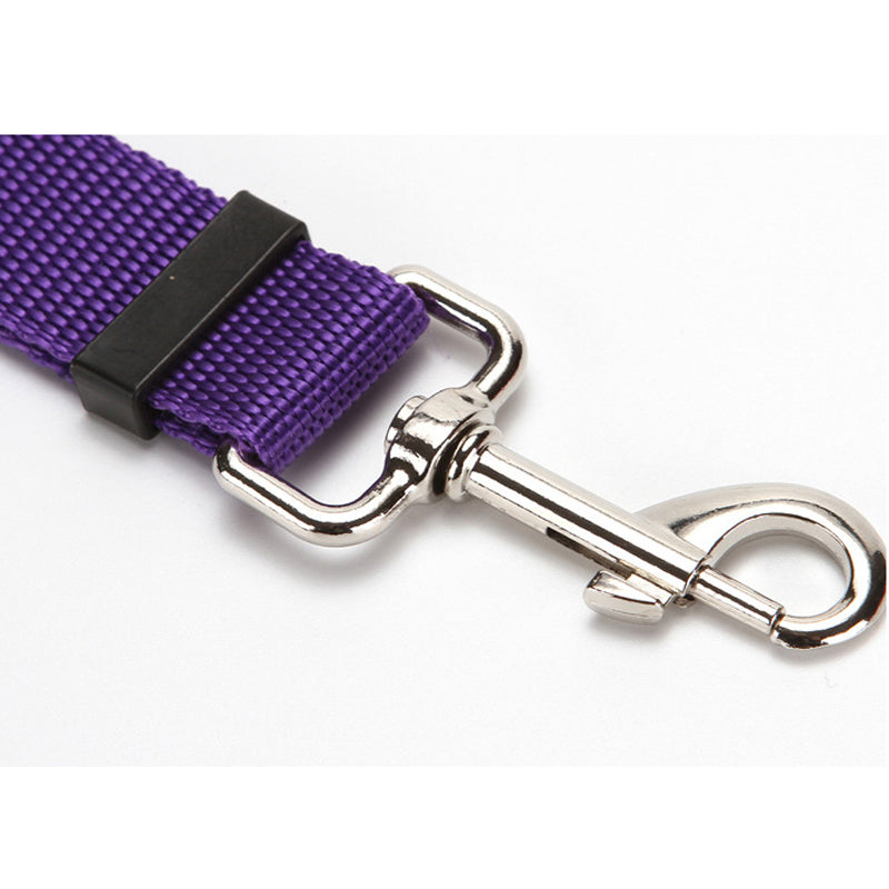 Car Seat Belt Leash