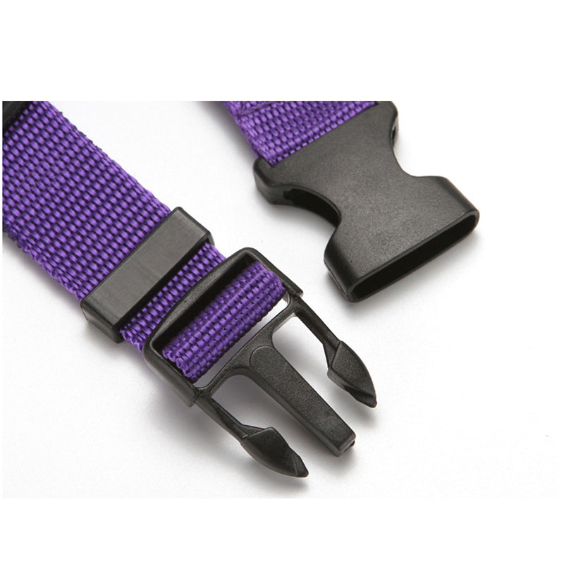 Car Seat Belt Leash