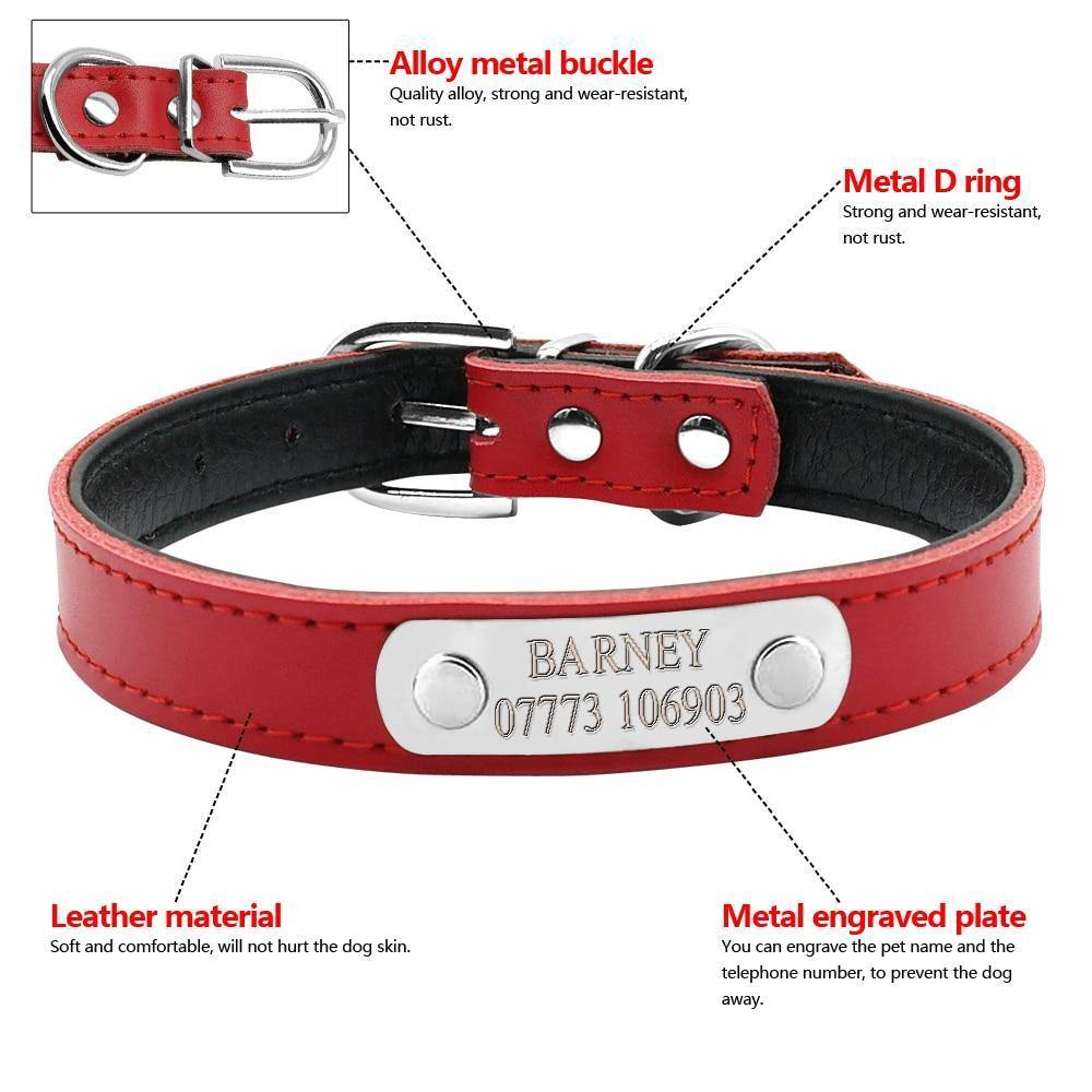 Leather Personalized Dog Collar - Pawfiestastore