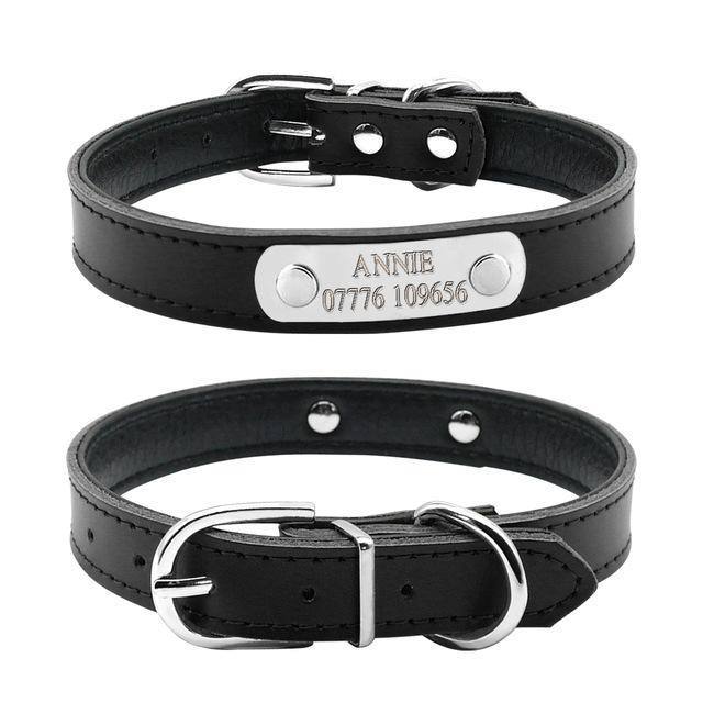 Leather Personalized Dog Collar - Pawfiestastore