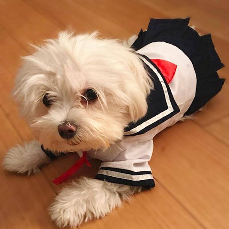 Sailor uniform - Pawfiestastore