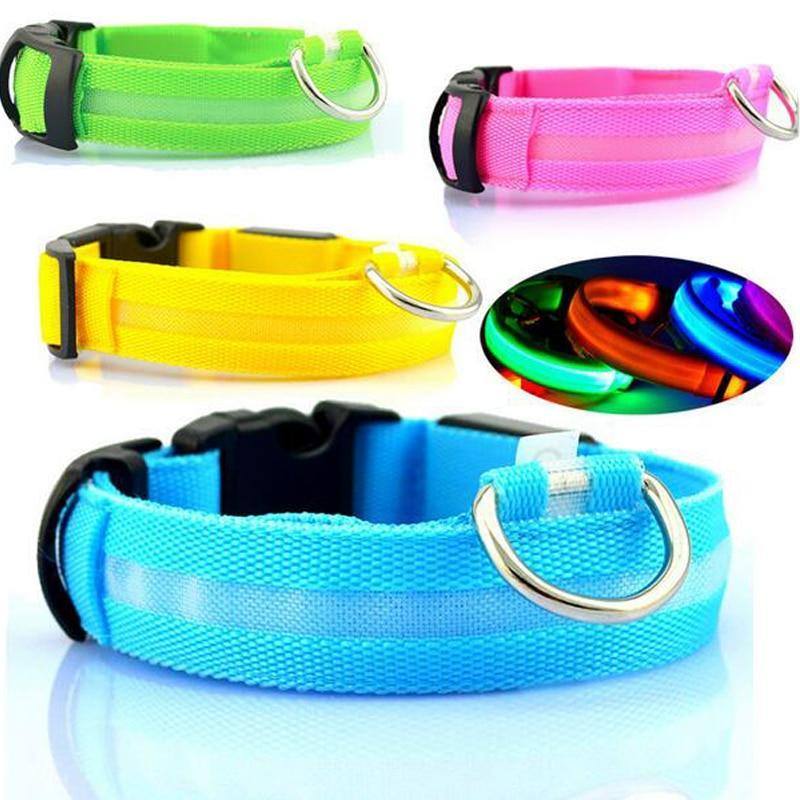 LED Collar - Pawfiestastore