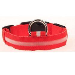 LED Collar - Pawfiestastore