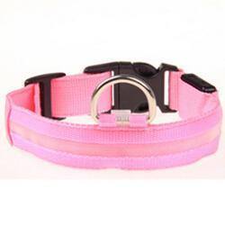 LED Collar - Pawfiestastore