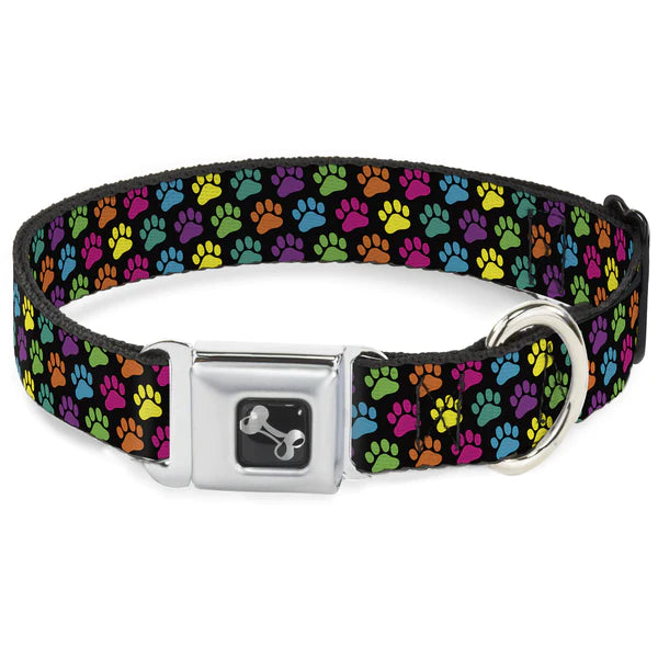 Buckle-Down Dog Bone Paw Print Seatbelt Buckle Dog Collar