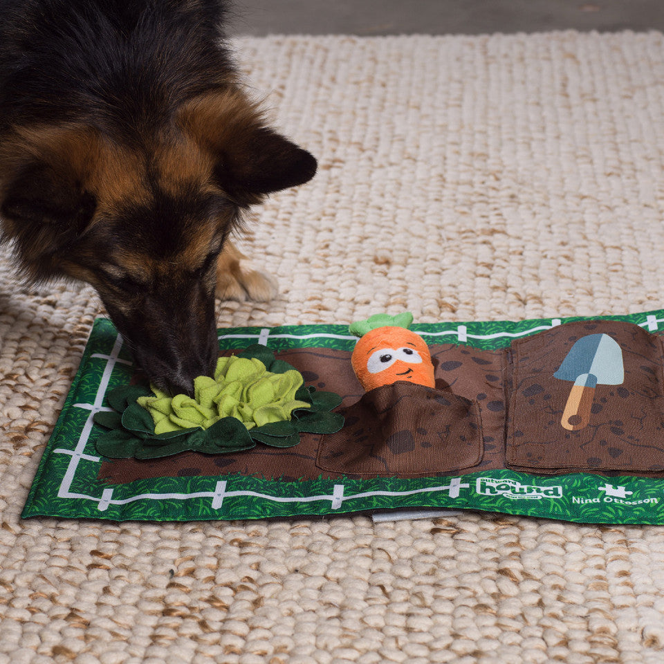 Outward Hound Activity Matz Garden Game Snuffle Mat Puzzle Dog Toy